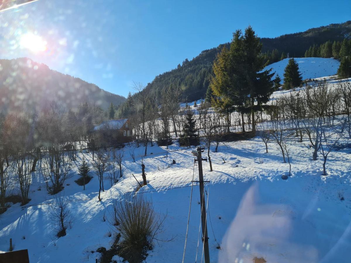 Penzion Mala Fatra U Durka Zilina Exterior photo